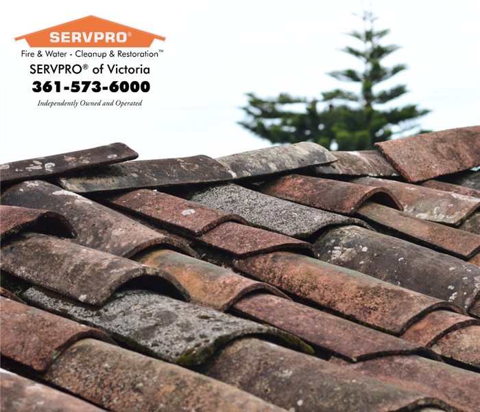 Roof and servpro victoria logo