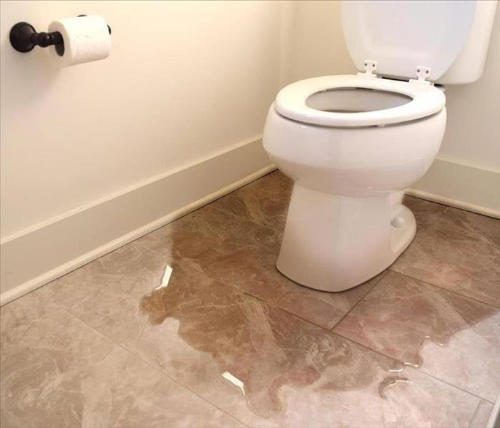 Overflowing Toilets? SERVPRO of Victoria