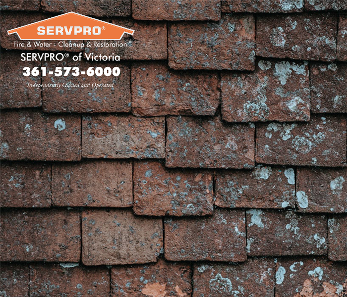 Shingles with SERVPRO of Victoria logo on the left