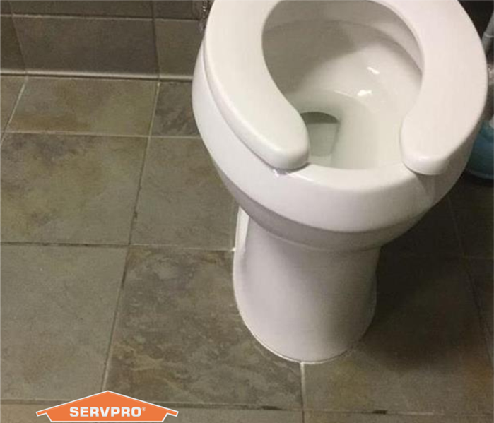 Toilet and SERVPRO logo