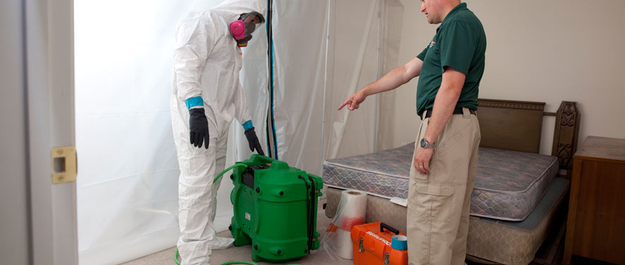 Victoria, TX mold removal process